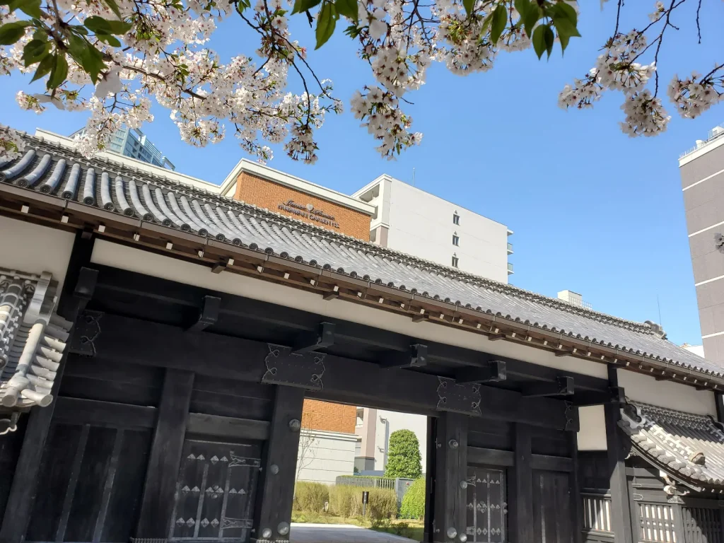 2025桜
