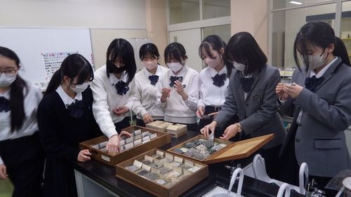 2025科学研究チャレンジ